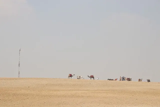 Antiquity⎪Caravan (Ready-to-Ship)